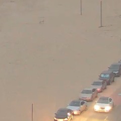 "The Sneaky" Bachsung