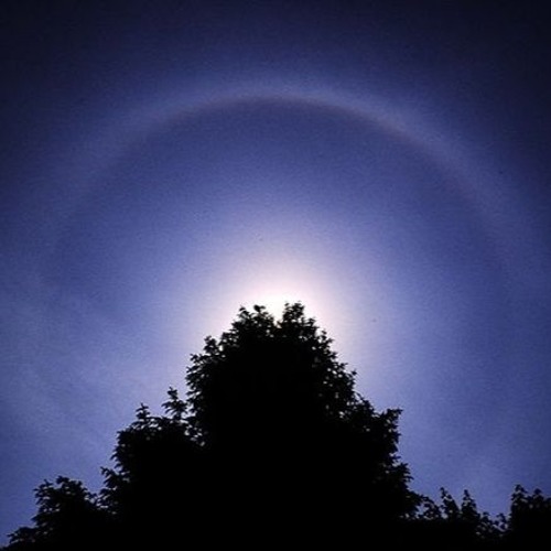 Halo