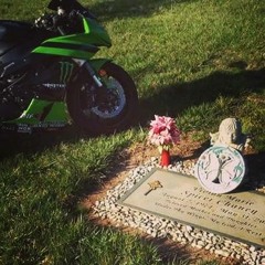 Stand Me - DK Dutch FREESTYLE ONE GO