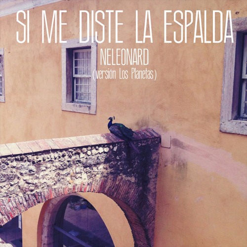 Neleonard - Si Me Diste La Espalda