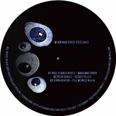 B2. Petr Serkin - Secret Place (Original Mix)[96 Kbps]