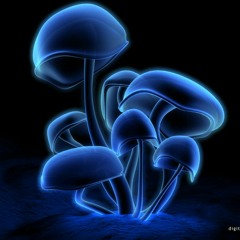 Working days after the first time