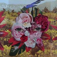 Roma - Concerto For Philodendron & Pothos112