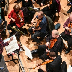 Nielsen Symphony 6 Movt 3