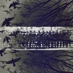 Swallow ocean - R.O.K.MC