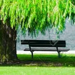 Benjamin Butel - La Place