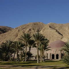 دحيه ( ريحاني ) بدو سيناء