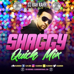 DJ RaH RahH - Shaggy Quick Mix