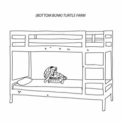 (bottom bunk) turtle farm