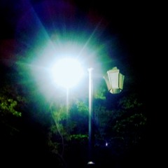 Night Light W/ Coogie