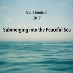 Submerging Into The Peaceful Sea