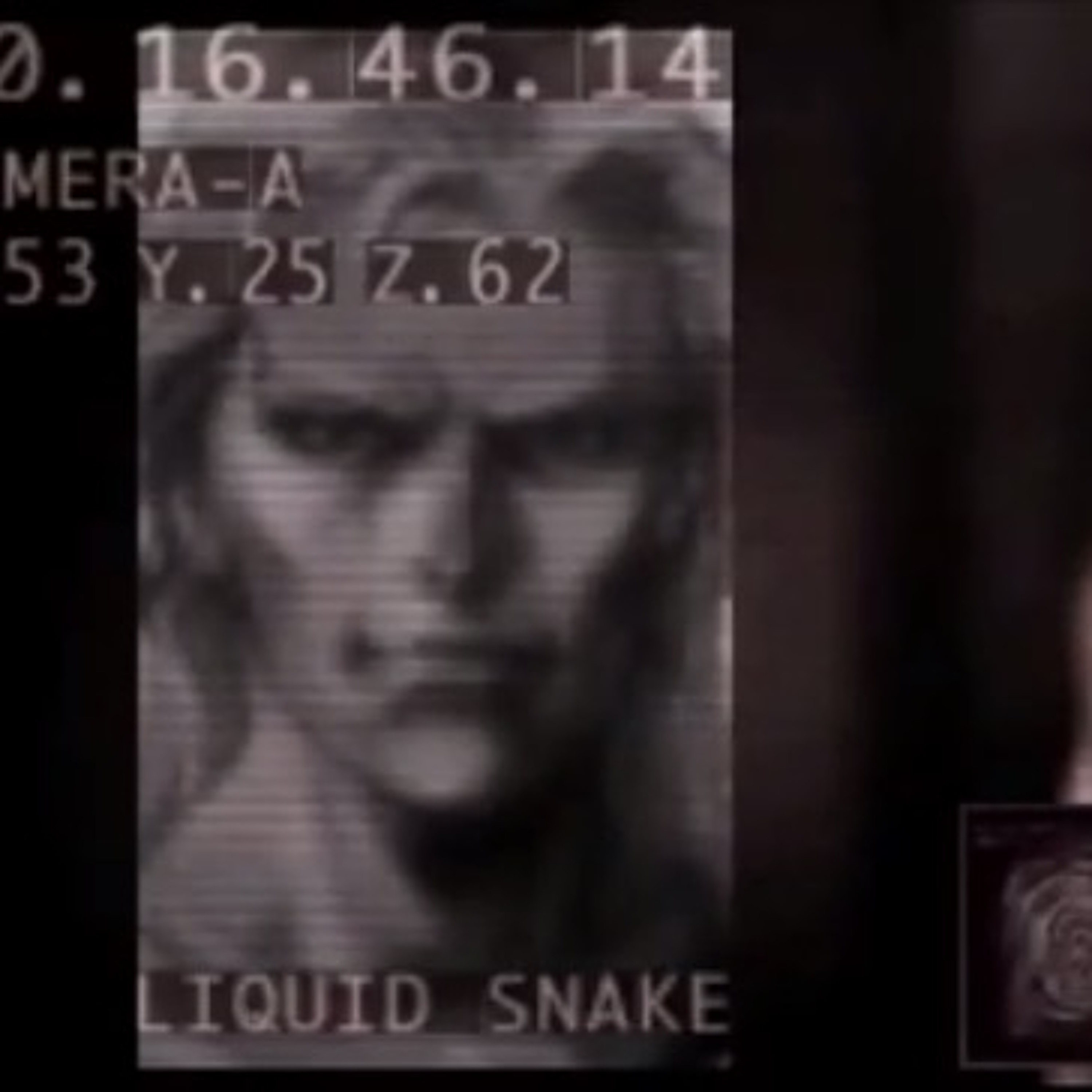 L I Q U I D S N A K E episode artwork