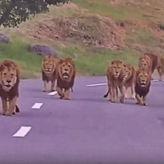 Gave It To Me - Daay