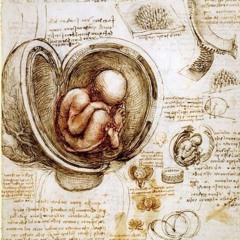 THOMAS DARKER - PRIMORDIAL SENSE _ Feat ORESTIS