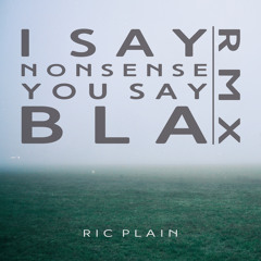 I Say Nonsense You Say Bla RMX
