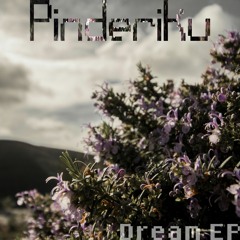 Pinderiku - Articuno