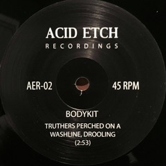 Truthers Perched On A Washline, Drooling (from split 7" with Drippy Inputs on Acid Etch Recordings)