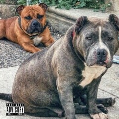 Top Dawg [ Prod By @CashMoneyAp & Al Mesister ]