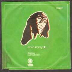 Erkin Koray - Hadi Hadi Ordan (1977) Turkish Psychedelic Rock/Folk (Vinyl LP)