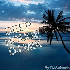 Deep House DJ Mix #009