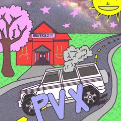School ~ PVX