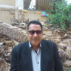 سميه الديب