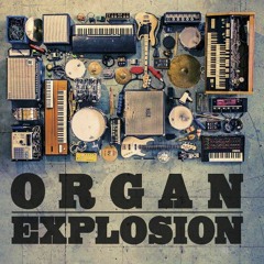 dj shadow Organ Donor- dj sensible remix - FREE DOWNLOAD