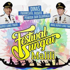 Album Lagu Daerah Luwu Timur - Lembata Tana Luwu
