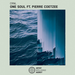 CRNL - One Soul ft. Pierre Coetzee