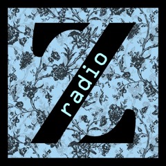 Z Radio 008 - Anthony Zmoda The Road to Movement