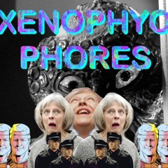 RUIN - Xenophyophores