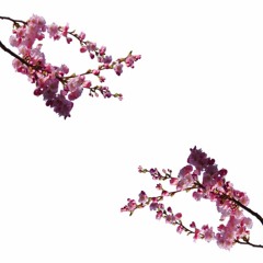 I start school tomorrow and I'm nervous