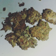 Sounds from Tuesday evening