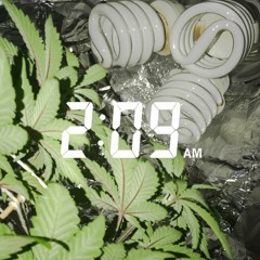 No Sigo (Prod. Whip Graze)