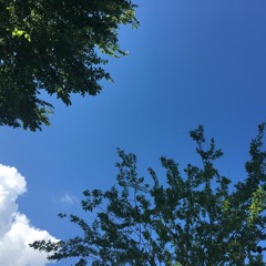 hdmi x ro$taxx - trust a thot