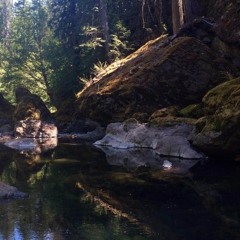 Smoking Down The River (Incubus Vs Flatbush ZOMBiES) - Toastyboat  -- 5.23.2017