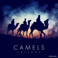 Felidae - Camels / The Ride (incl. Andrew Tailor Remix)// STOLTERA006