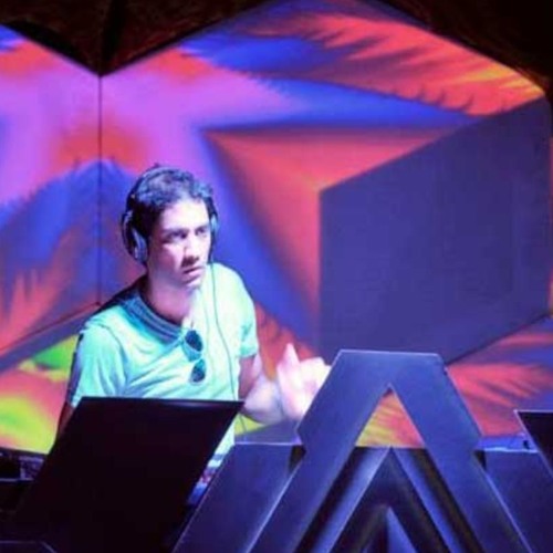 jungle calling holi