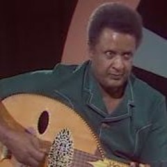 صلاح مصطفى - حروف للفراشة