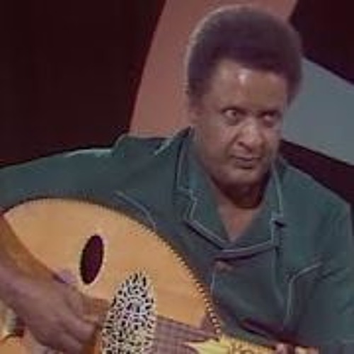 صلاح مصطفى - حروف للفراشة
