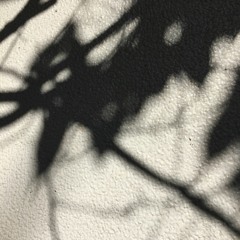 Parabola