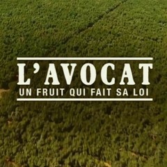 L'Avocat un Fruit qui fait sa Loi - Green Gold