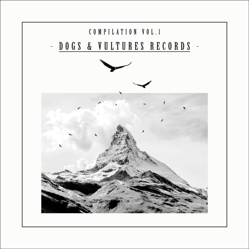PRÉMIÈRE: Id!r - Frus [Dogs & Vultures Records]