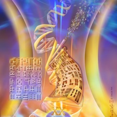 Flow state ( Merci beaucoup remix 2017 )