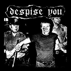 Despise YouStapled Shut Split 7