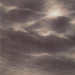 I went to the beach on a snowy day