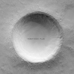 Robot Koch - Fluid (Feat. Julien Marchal)