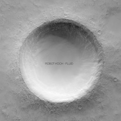 Robot Koch - Reach (Feat. Delhia De France) (Chi Thanh Remix)