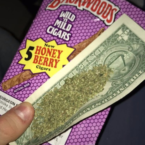STOOPID HIGH