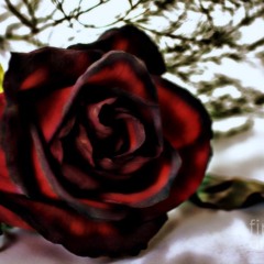 WYGD OnlyOneWaun Hosted. by DjMillyrocc